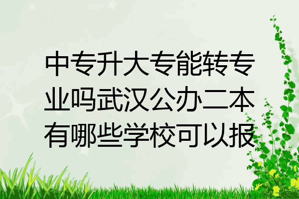 中专升大专能转专业吗武汉公办二本有哪些学校可以报