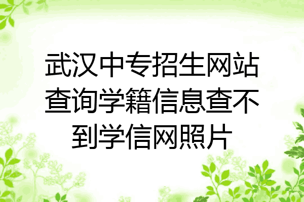 武汉中专招生网站查询学籍信息查不到学信网照片