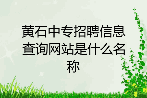 黄石中专招聘信息查询网站是什么名称