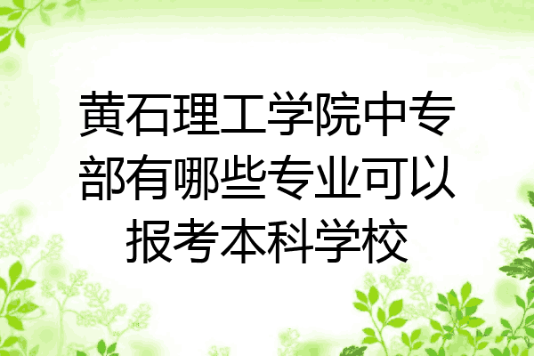 黄石理工学院中专部有哪些专业可以报考本科学校