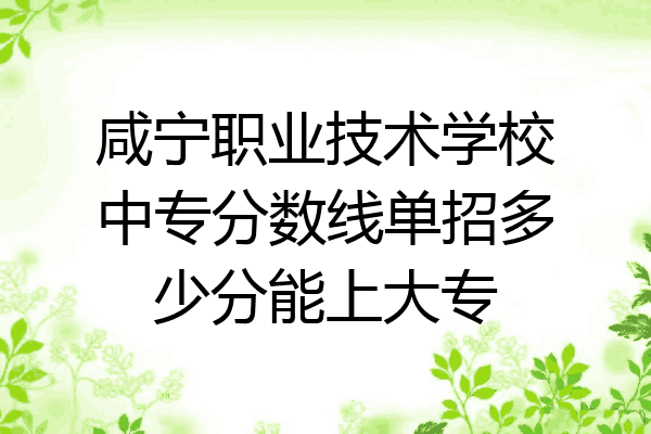 咸宁职业技术学校中专分数线单招多少分能上大专