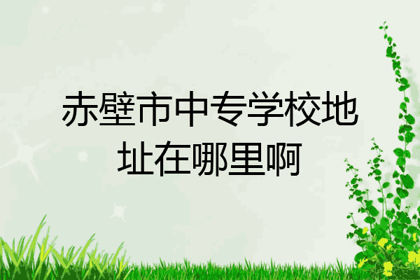 赤壁市中专学校地址在哪里啊