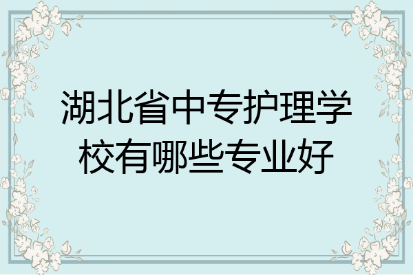 湖北省中专护理学校有哪些专业好