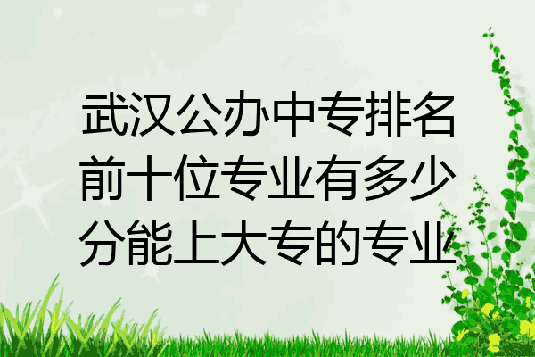 武汉公办中专排名前十位专业有多少分能上大专的专业