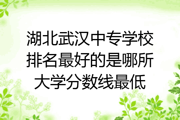 湖北武汉中专学校排名最好的是哪所大学分数线最低
