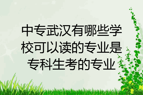 中专武汉有哪些学校可以读的专业是专科生考的专业