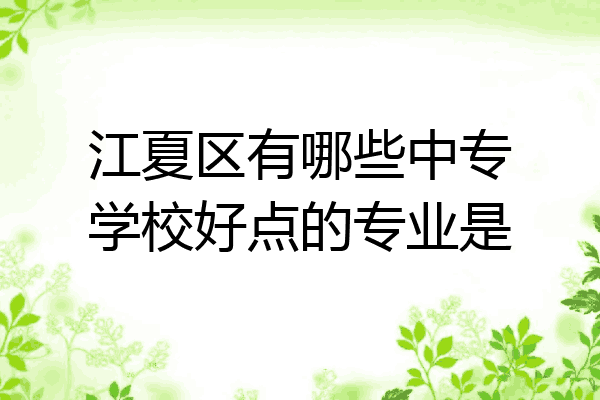 江夏区有哪些中专学校好点的专业是