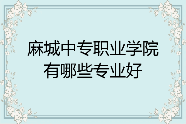 麻城中专职业学院有哪些专业好