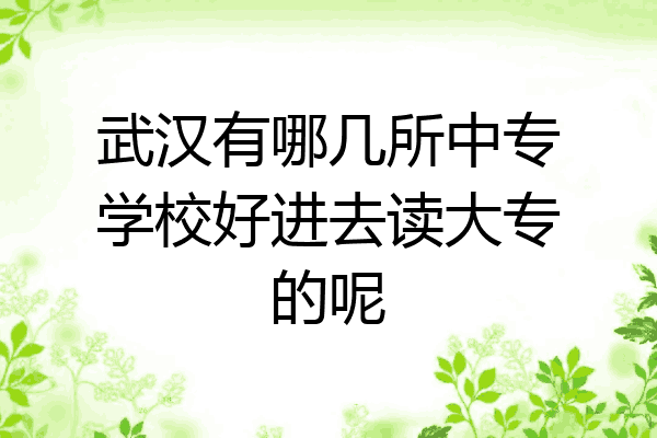 武汉有哪几所中专学校好进去读大专的呢
