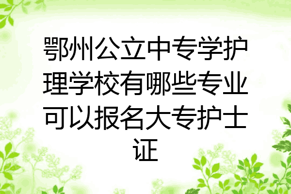 鄂州公立中专学护理学校有哪些专业可以报名大专护士证