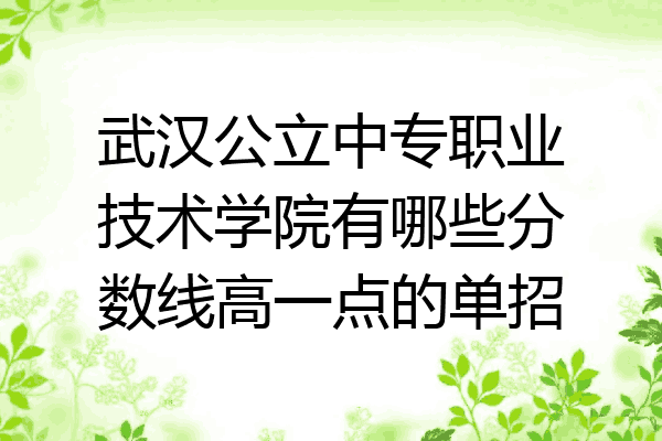 武汉公立中专职业技术学院有哪些分数线高一点的单招