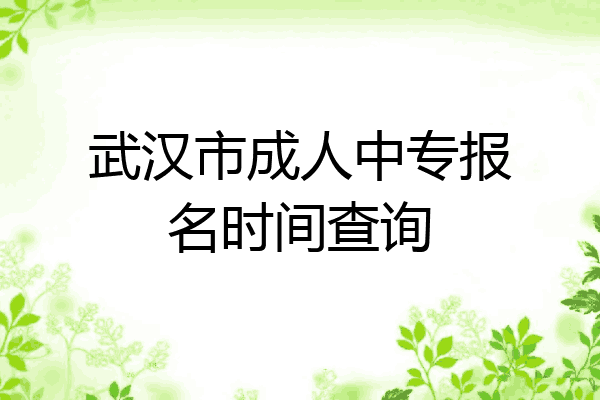 武汉市成人中专报名时间查询