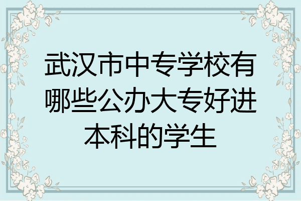 武汉市中专学校有哪些公办大专好进本科的学生