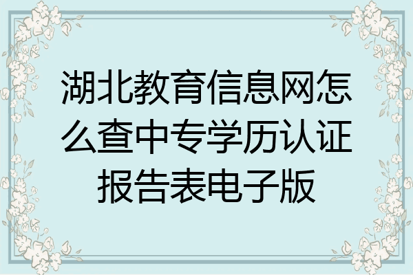 湖北教育信息网怎么查中专学历认证报告表电子版
