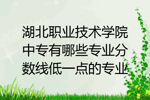 湖北职业技术学院中专有哪些专业分数线低一点的专业