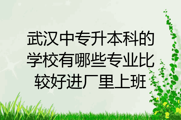 武汉中专升本科的学校有哪些专业比较好进厂里上班