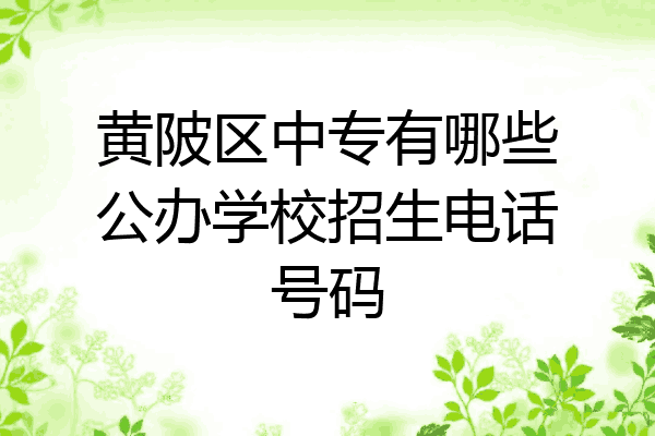 黄陂区中专有哪些公办学校招生电话号码