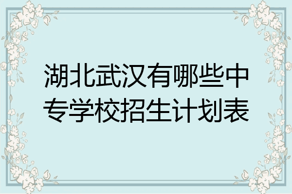 湖北武汉有哪些中专学校招生计划表