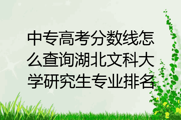 中专高考分数线怎么查询湖北文科大学研究生专业排名