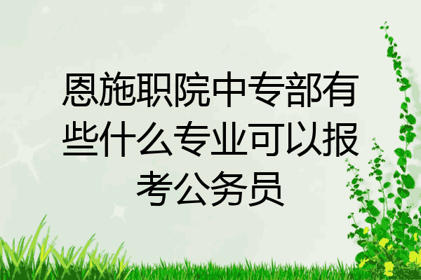 恩施职院中专部有些什么专业可以报考公务员