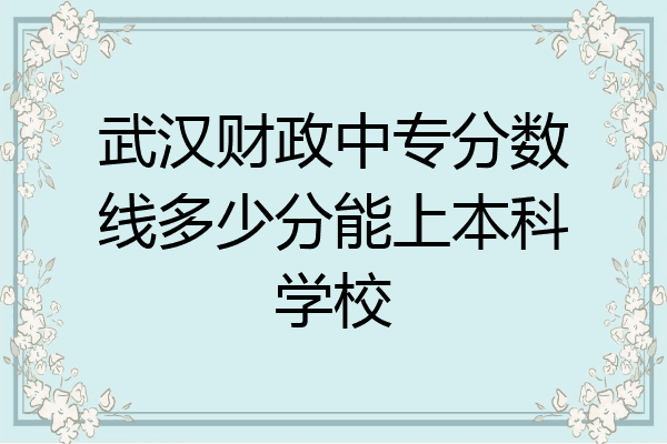 武汉财政中专分数线多少分能上本科学校
