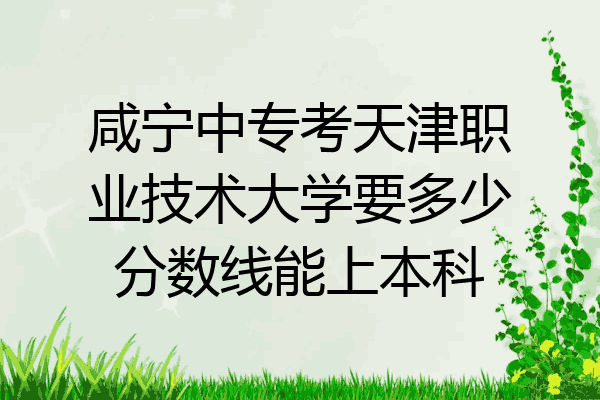 咸宁中专考天津职业技术大学要多少分数线能上本科