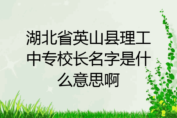 湖北省英山县理工中专校长名字是什么意思啊