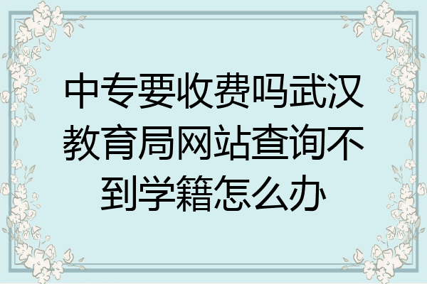 中专要收费吗武汉教育局网站查询不到学籍怎么办
