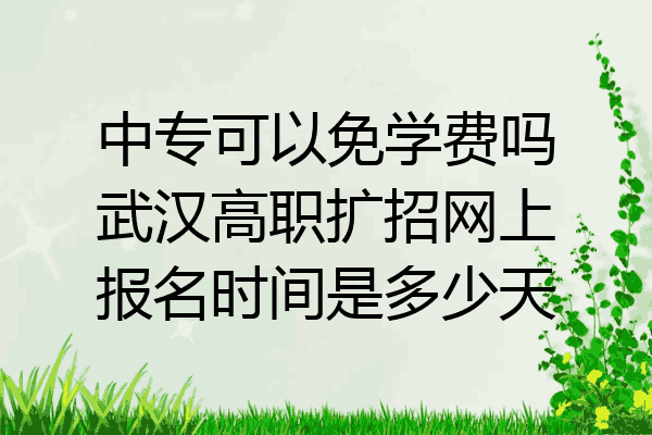 中专可以免学费吗武汉高职扩招网上报名时间是多少天