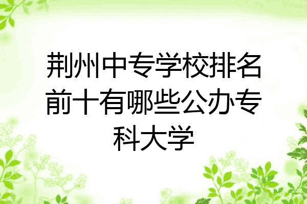 荆州中专学校排名前十有哪些公办专科大学