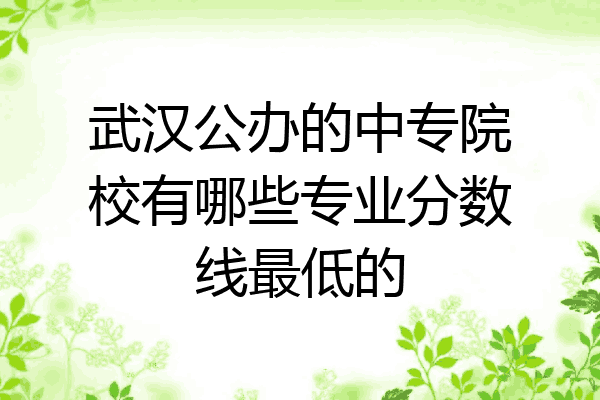 武汉公办的中专院校有哪些专业分数线最低的