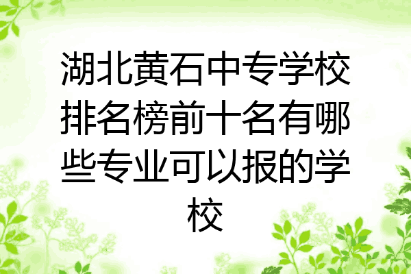 湖北黄石中专学校排名榜前十名有哪些专业可以报的学校
