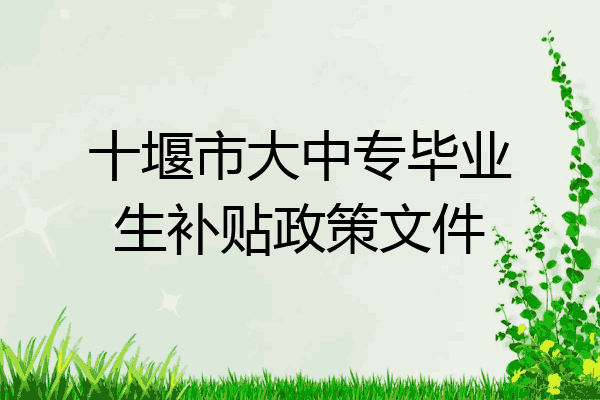 十堰市大中专毕业生补贴政策文件