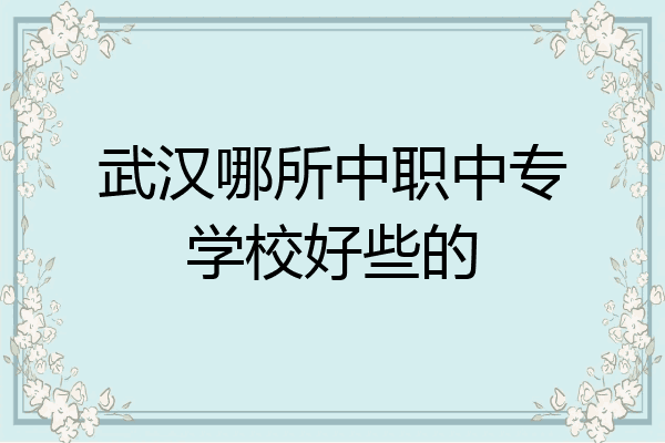 武汉哪所中职中专学校好些的