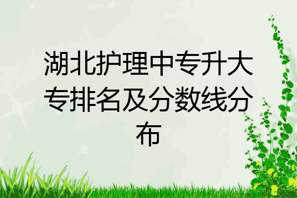 湖北护理中专升大专排名及分数线分布