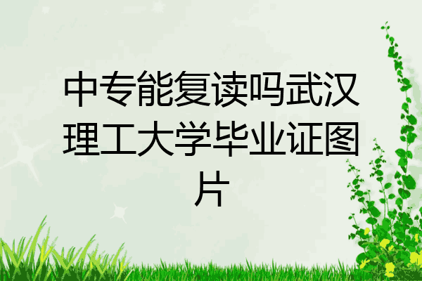 中专能复读吗武汉理工大学毕业证图片