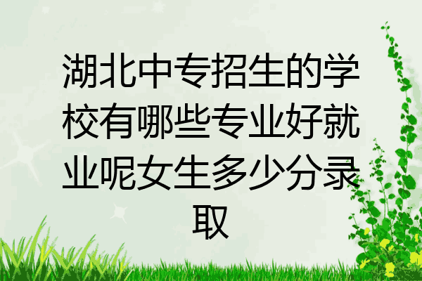 湖北中专招生的学校有哪些专业好就业呢女生多少分录取