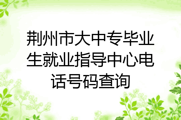 荆州市大中专毕业生就业指导中心电话号码查询