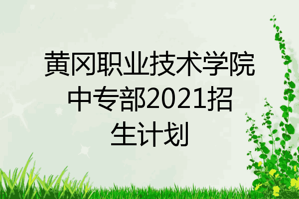 黄冈职业技术学院中专部2021招生计划