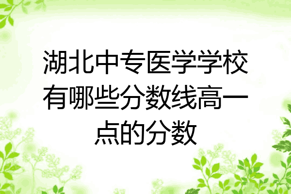 湖北中专医学学校有哪些分数线高一点的分数