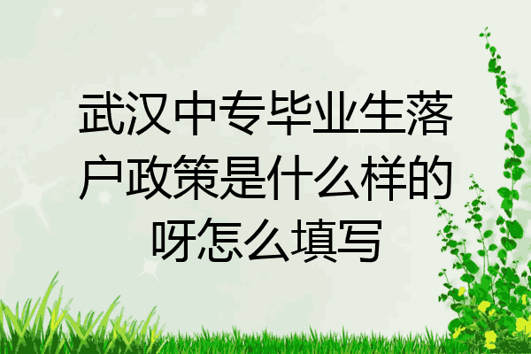 武汉中专毕业生落户政策是什么样的呀怎么填写
