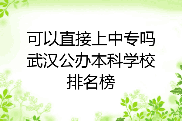 可以直接上中专吗武汉公办本科学校排名榜