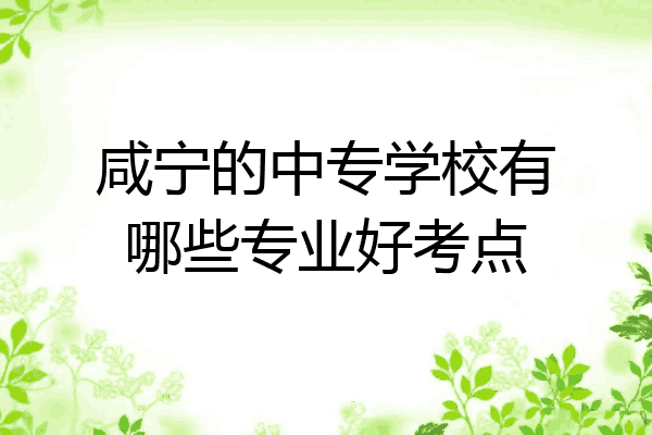咸宁的中专学校有哪些专业好考点