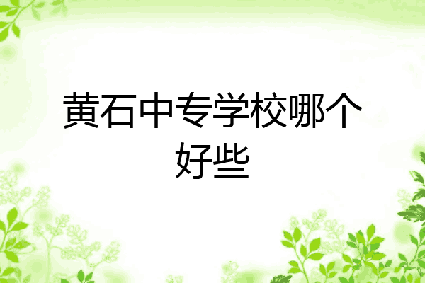 黄石中专学校哪个好些