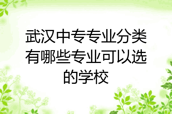 武汉中专专业分类有哪些专业可以选的学校