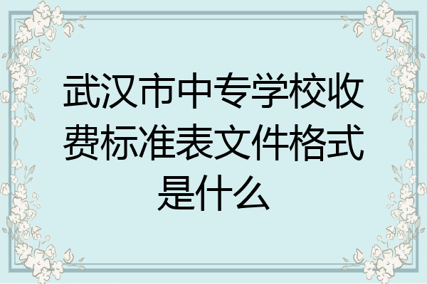 武汉市中专学校收费标准表文件格式是什么