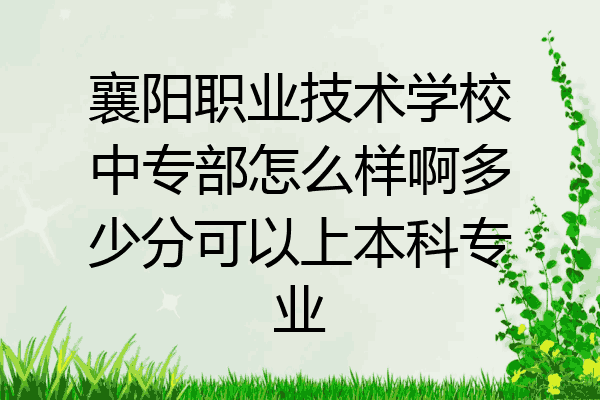 襄阳职业技术学校中专部怎么样啊多少分可以上本科专业
