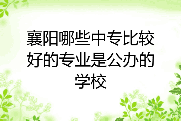 襄阳哪些中专比较好的专业是公办的学校