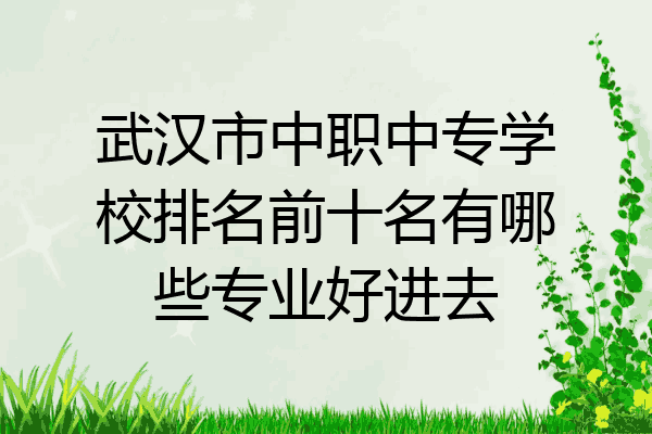 武汉市中职中专学校排名前十名有哪些专业好进去