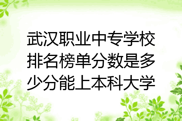 武汉职业中专学校排名榜单分数是多少分能上本科大学